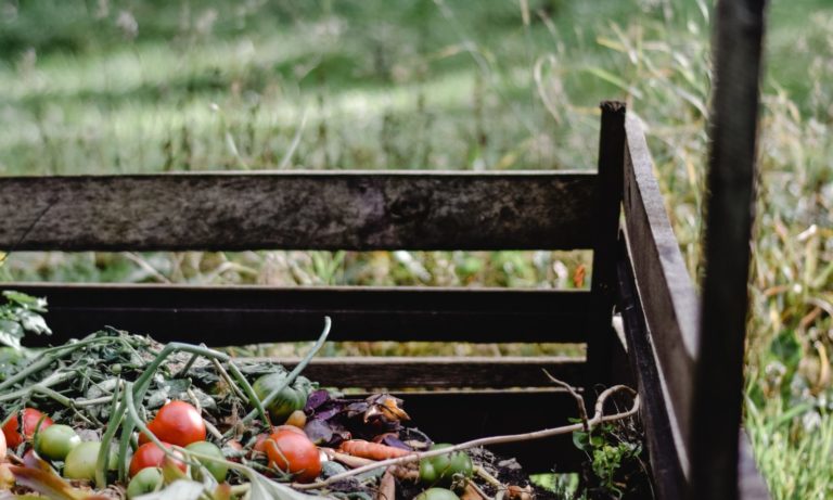 Le recyclage des biodéchets en entreprise