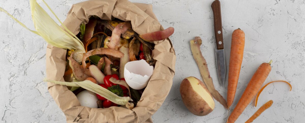 Éco-digesteurs pour la valorisation des déchets alimentaires : quoi en penser ?