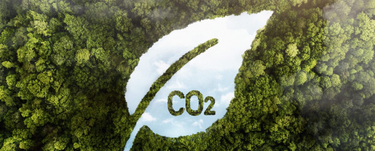 Comment mesurer l’impact carbone de mes déchets ?