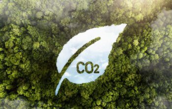Comment mesurer l’impact carbone de mes déchets ?